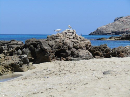 Playa S'Arenalet d'es Verger