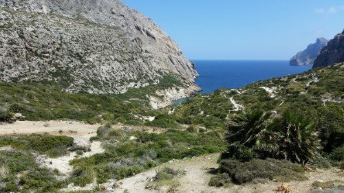 Vista panorámica sobre Cala Bóquer