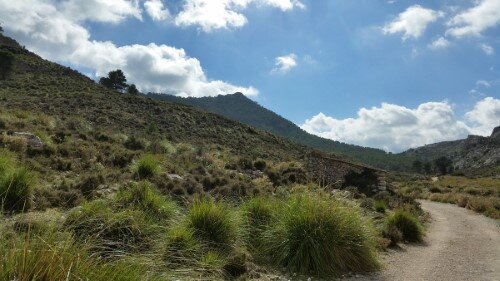 Camino con el Puig de L'Ofre al fonde