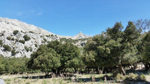 Vista al Puig Major