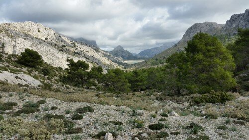 Vista atrás a Cúber desde el Coll de L'Ofre