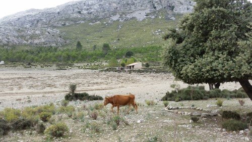 Refugio de Cúber