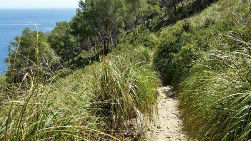 Camino a la Playa Coll Baix