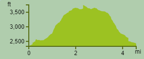 elevation profile